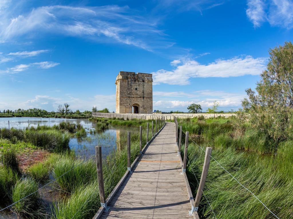 Artemia Aigues-Mortes - Hotel Avec Piscine ภายนอก รูปภาพ